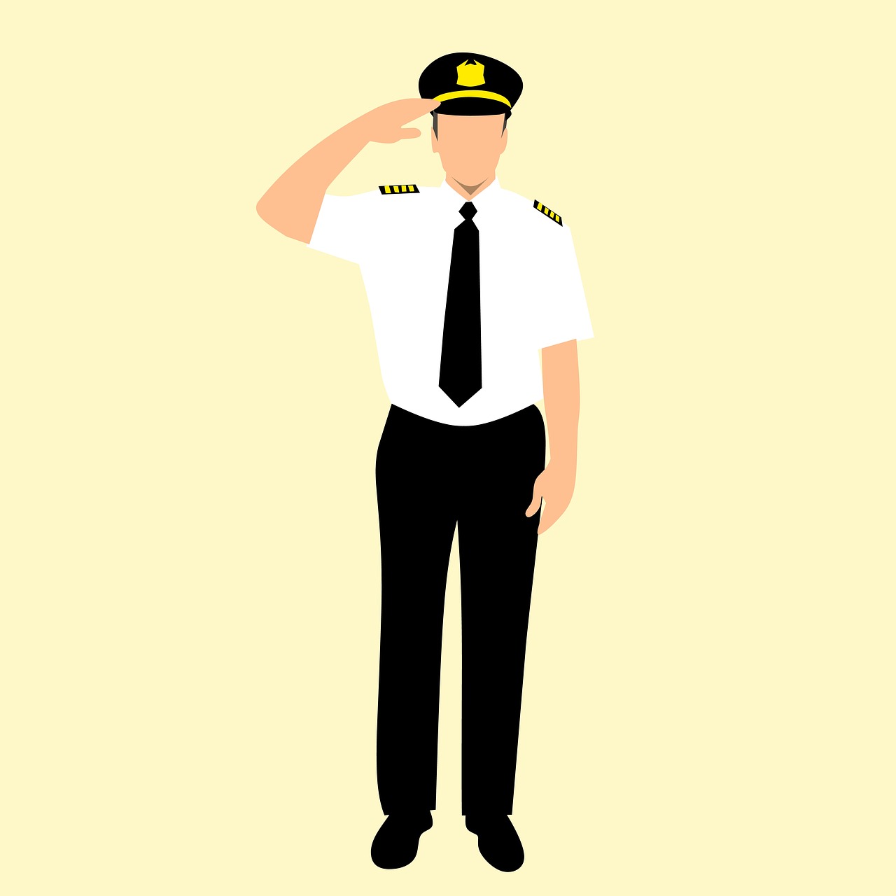 airline, badge, cap-3021264.jpg